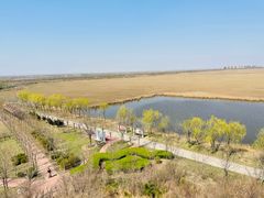 -南大港湿地风景区