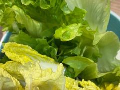 -探窝·竹笙椰子鸡(杨箕店)