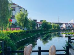 -金山嘴渔村