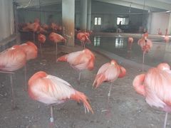 -辛玛王国游乐园