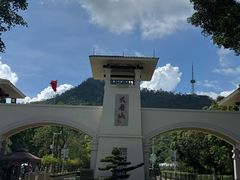 -大雁山风景区