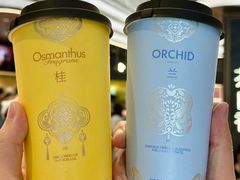 -爷爷不泡茶 NOYEYENOTEA(长沙五江天街店)