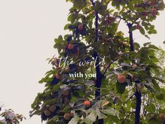 -Supine Bistro溯泮餐厅