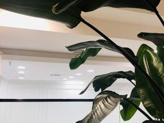 -意格蛋糕