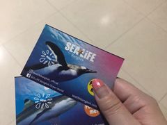 -暹罗海洋世界