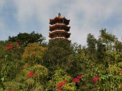 -深圳仙湖植物园