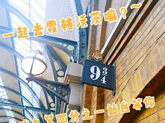-哈利·波特的魔法世界