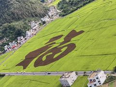 -万峰林风景区