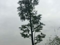 -水濂山水库景点停车场