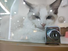 -龟与熊猫宠物公园(南坪店)
