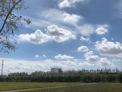 -上海长兴岛郊野公园