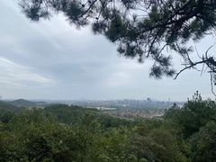 -良渚文化村