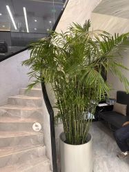 -简法造型·品牌形象店