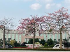 -花都广场
