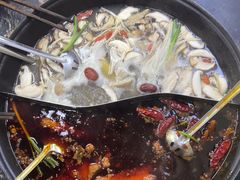 -乖嬢嬢重庆老火锅(南联店)