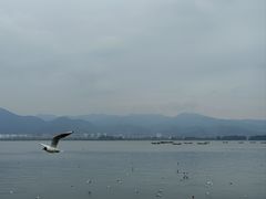 -海埂大坝