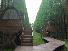 -黄海国家森林公园