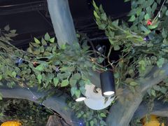 -津沽小院(天津之眼店)