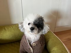 -美联众合动物医院·24h转诊中心