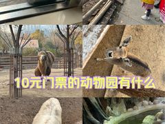-太原动物园