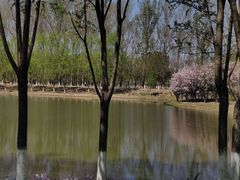 -东郊湿地公园