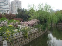 曹杨环浜西岸-兰溪青年公园