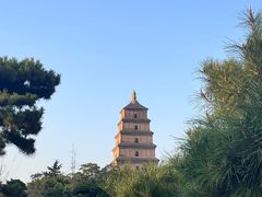 -大雁塔北广场音乐喷泉