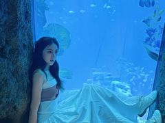 -南昌融创海世界