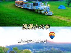 -武汉木兰草原风景区