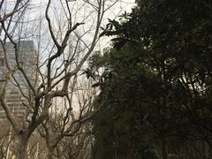 -上海安亭别墅花园酒店