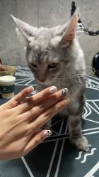 -Seven Nail七姑娘の美甲店