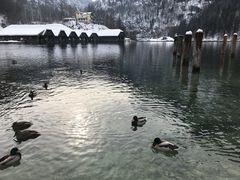 -柯尼希湖