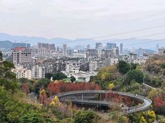 -福道