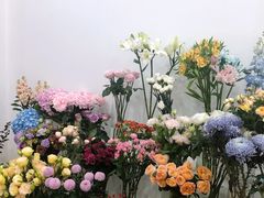 -Flower in(密渡桥店)