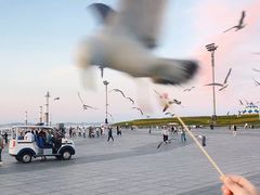 -东港音乐喷泉广场