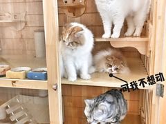 -Double Rui宠物酒店