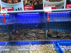 水产区-必点海鲜·鲅鱼水饺(鞍山西道店)
