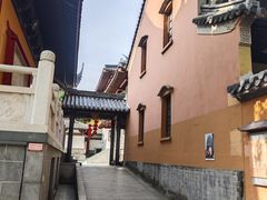 -灵谷景区