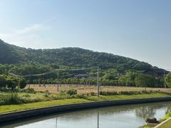 -上海佘山国家森林公园天马山园