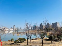 -金沙湖公园