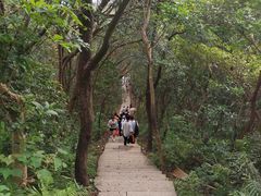 -梧桐山风景名胜区