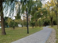 -中国浦东干部学院