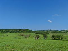 -御道口草原森林风景区