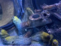 -成都浩海立方海洋公园