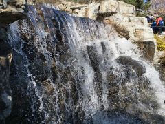 -北京西山国家森林公园