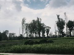 -秀丽东方