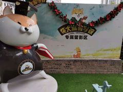 门面-柴犬高等学院·狗咖·柴犬售卖·宠物训练