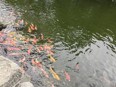 -青岛鑫江温德姆酒店