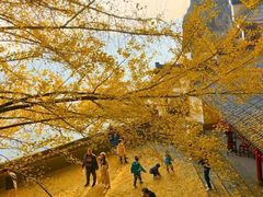 -大慈岩风景区