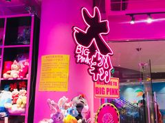-BIG PINK大粉娃娃机主题馆(圆融星座店)